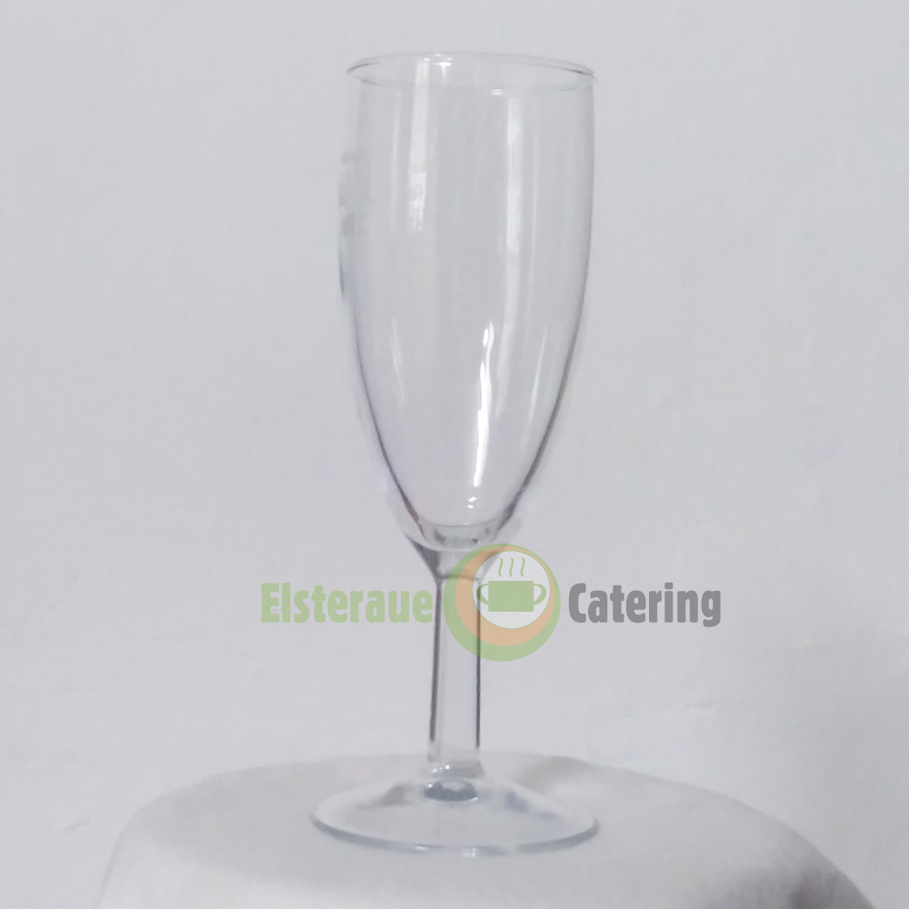 Elsteraue catering verleih glaeser 04